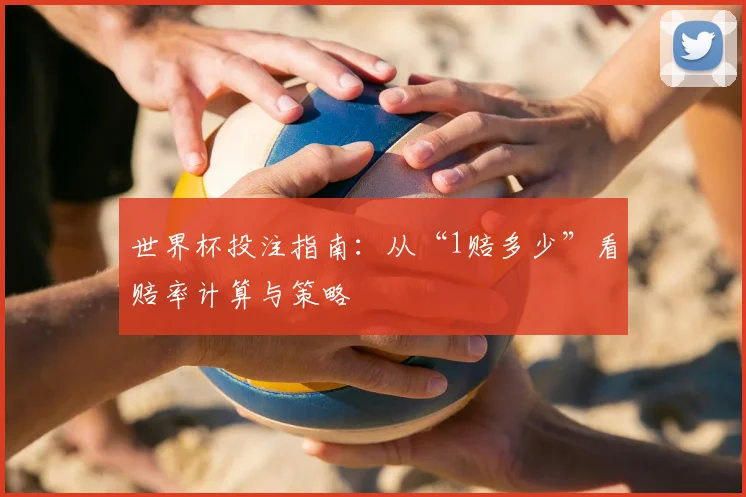 世界杯投注指南：从“1赔多少”看赔率计算与策略