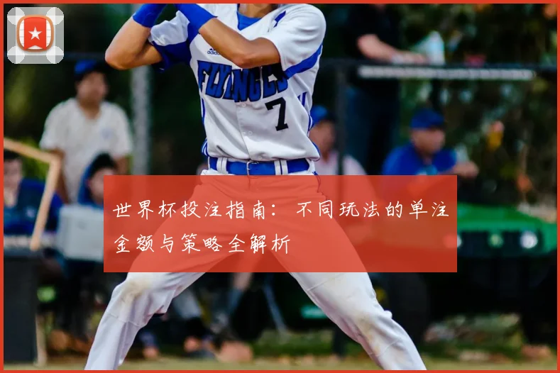 世界杯投注指南：不同玩法的单注金额与策略全解析